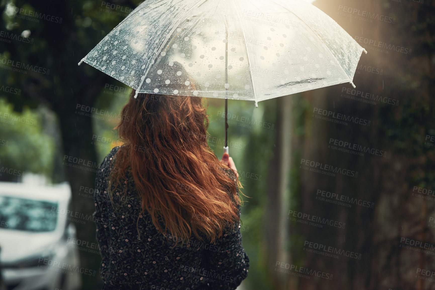 Buy stock photo Rearview shot of an unrecognizable woman walking in the rain outside