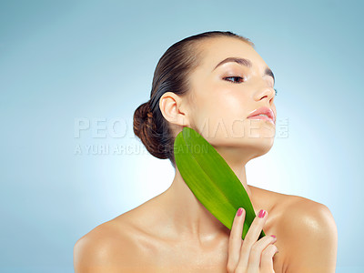 Buy stock photo Studio shot of a beautiful young woman holding a leaf against a blue background