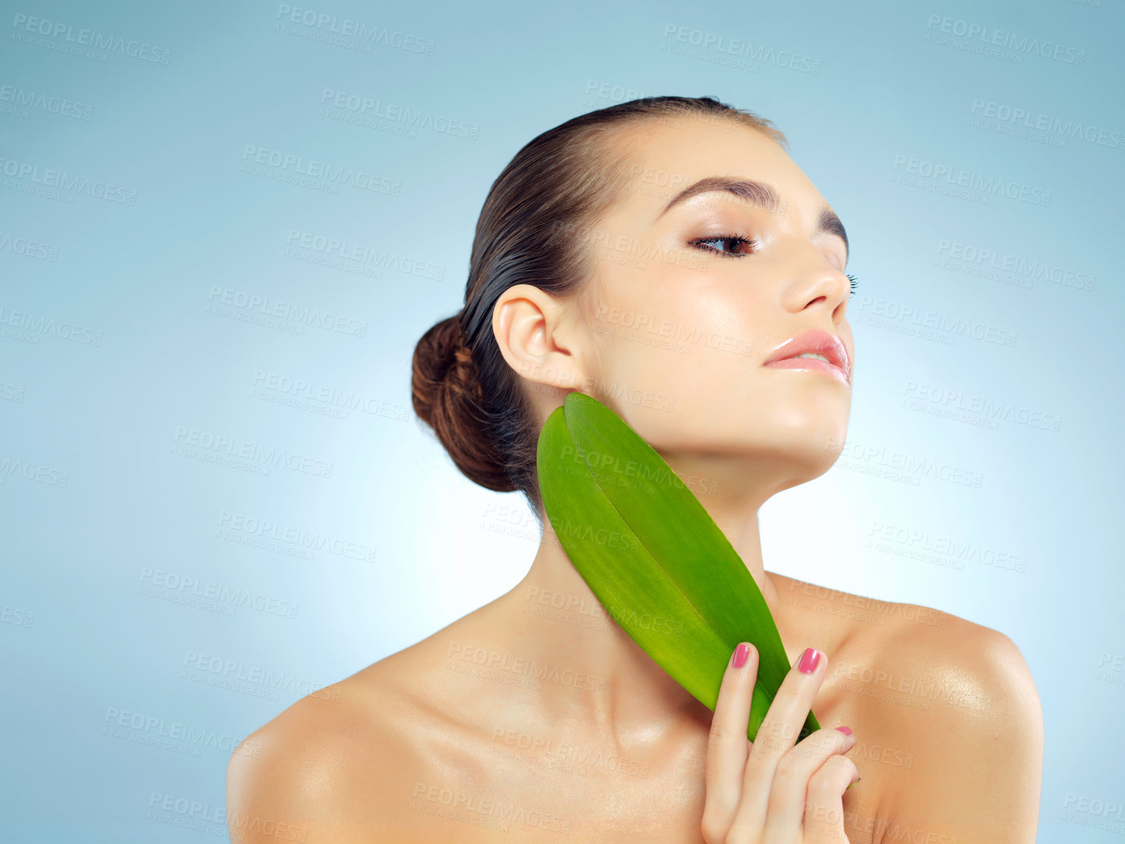 Buy stock photo Studio shot of a beautiful young woman holding a leaf against a blue background