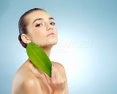 Buy stock photo Studio portrait of a beautiful young woman holding a leaf against a blue background
