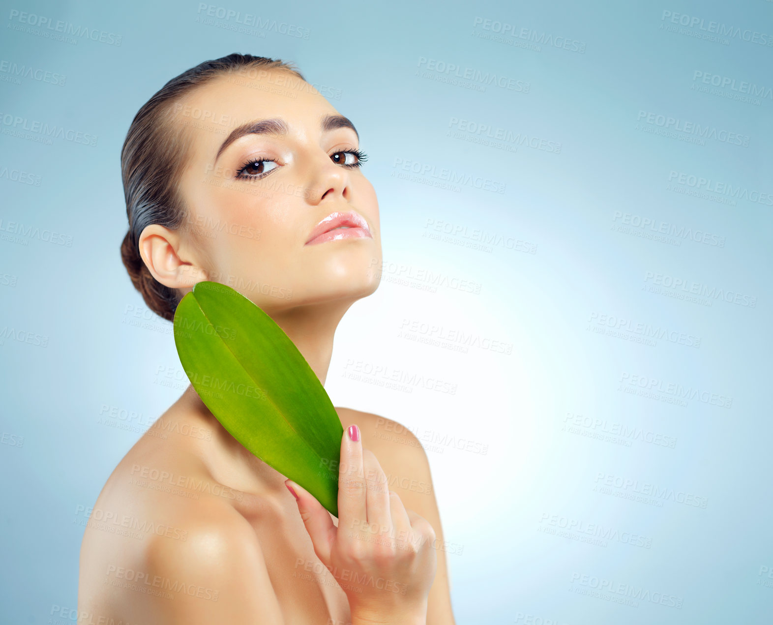 Buy stock photo Girl, portrait and leaf in studio for skincare or natural dermatology, organic treatment and ingredient for cosmetics. Woman, blue background and leave for sensitive skin, anti aging and mock up.