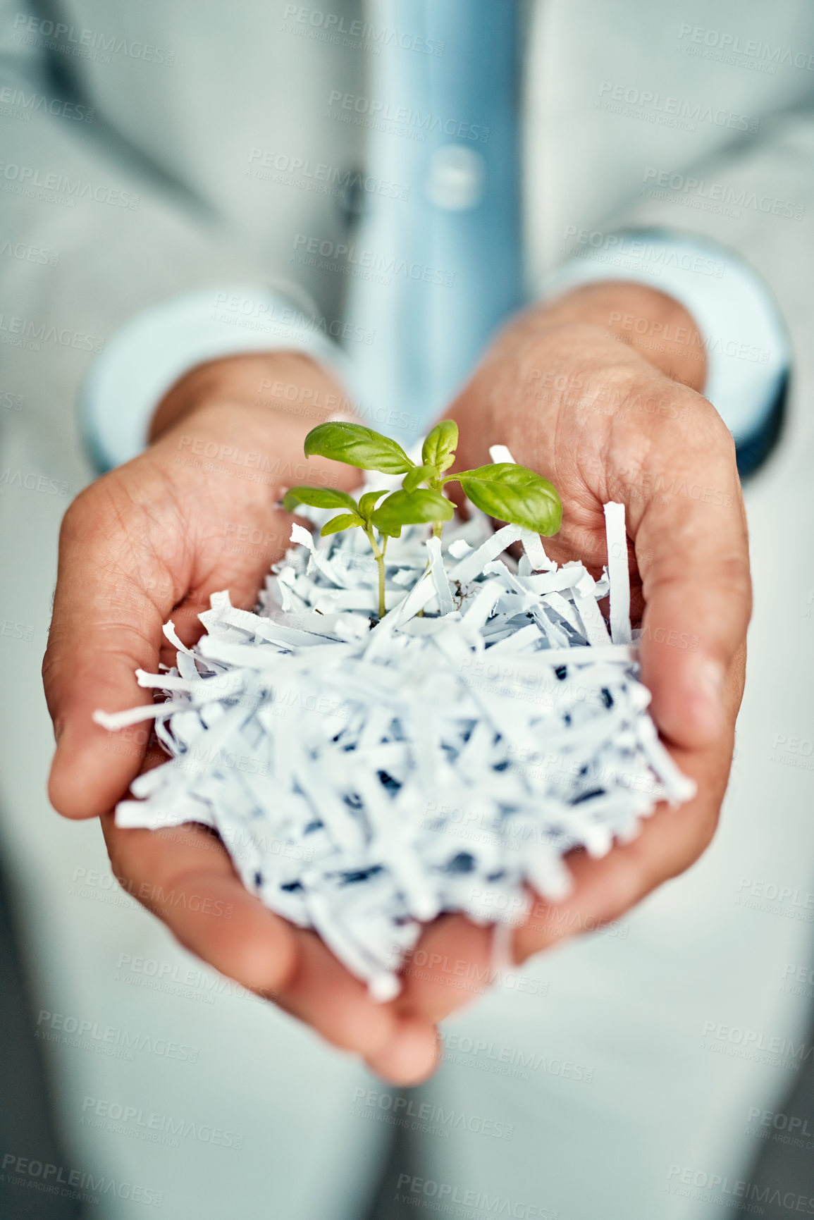 Buy stock photo Businessman, hands or plant for agriculture recycling, sustainability growth or farming investment. Shredded paper, recycle closeup or worker hand holding small plants in eco friendly startup company