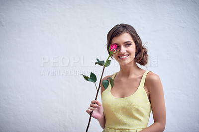 Buy stock photo Studio shot of a cheerful young woman holding a pink rose next to her face while standing against a grey background