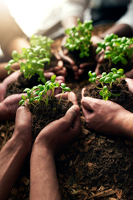 Buy stock photo Cropped shot of a group of people holding plants growing out of soil