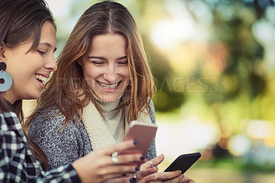 Buy stock photo Cropped shot of two attractive young women using their cellphones while sitting in the park
