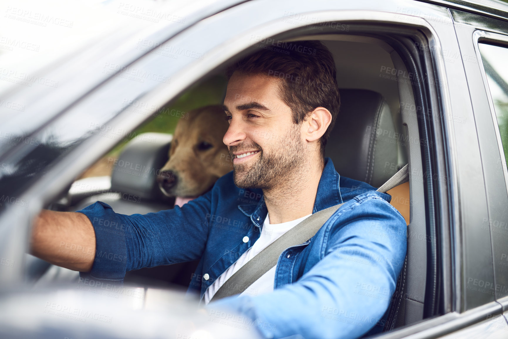 Buy stock photo Cropped shot of a handsome young man taking a drive with his dog in the backseat
