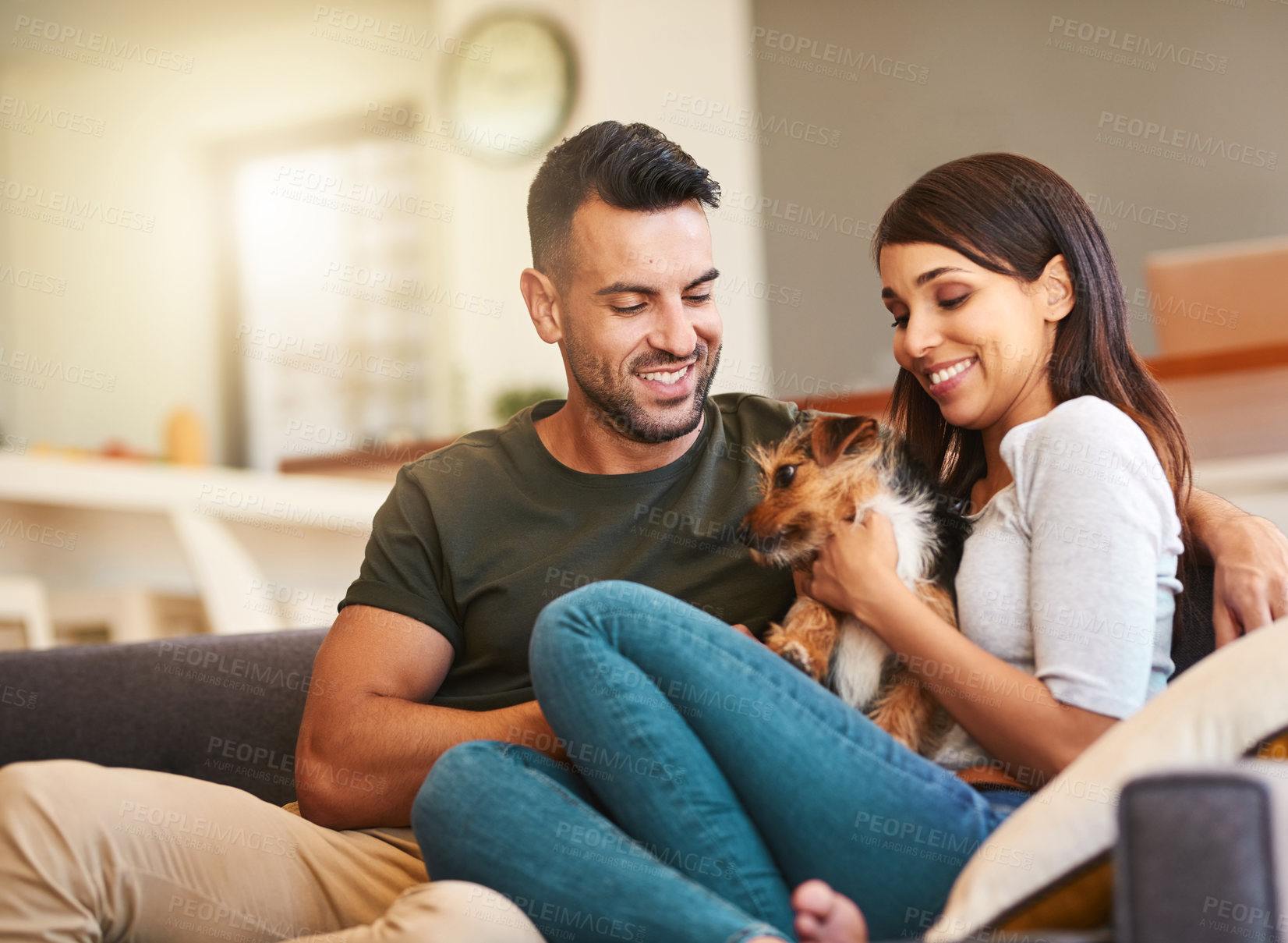 Buy stock photo Bonding, couple and smile for pet, lounge and petting of domestic animal, love and affection for dog. Happy, man and woman with puppy, care and commitment for adoption of Schnauzer, sofa and house