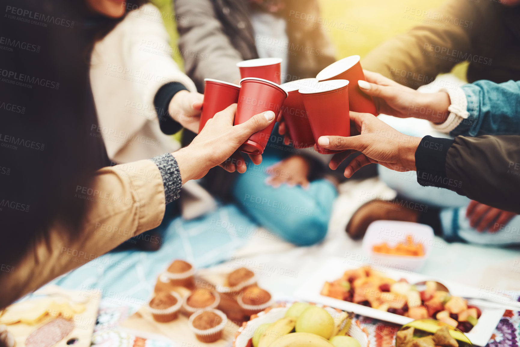 Buy stock photo Shot of a group of unrecognizable people celebrating with a celebratory toast at a picnic outside during the day