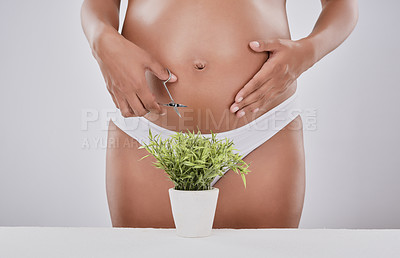 Buy stock photo Cropped studio shot of a pregnant woman trimming a plant with scissors against a gray background