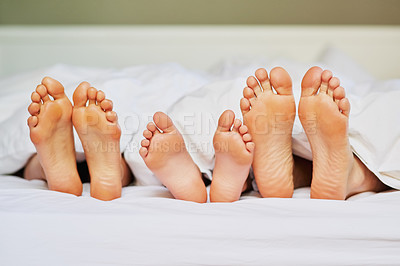 Buy stock photo Shot of a unrecognizable family's feet positioned next to each other in bed while they're sleeping at home in the morning