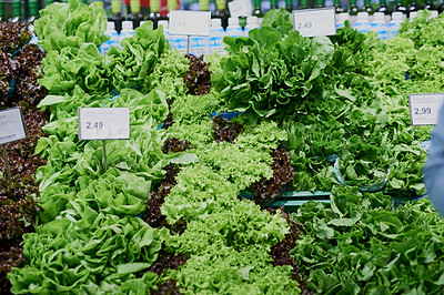 Buy stock photo Shot of a selection of fresh green vegetables in a grocery store