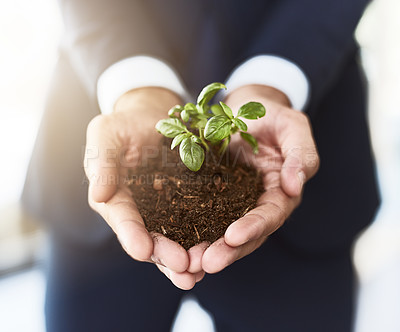 Buy stock photo Closeup shot of an unrecognizable businessman holding a plant growing in soil