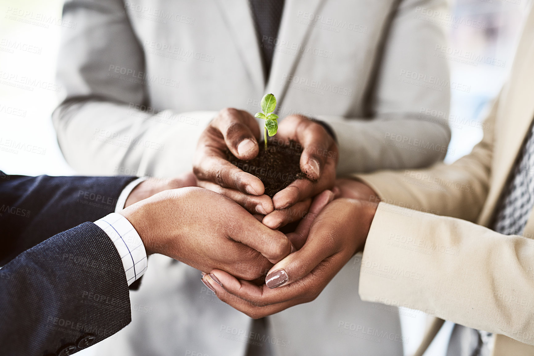 Buy stock photo Closeup shot of a group of unrecognizable businesspeople holding a plant growing out of soil