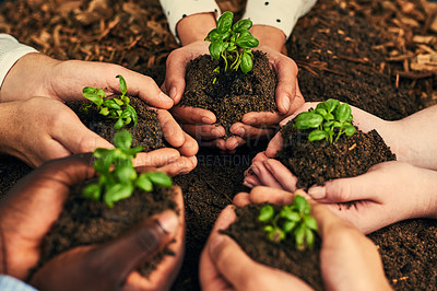 Buy stock photo Cropped shot of a group of businesspeople holding plants growing out of soil