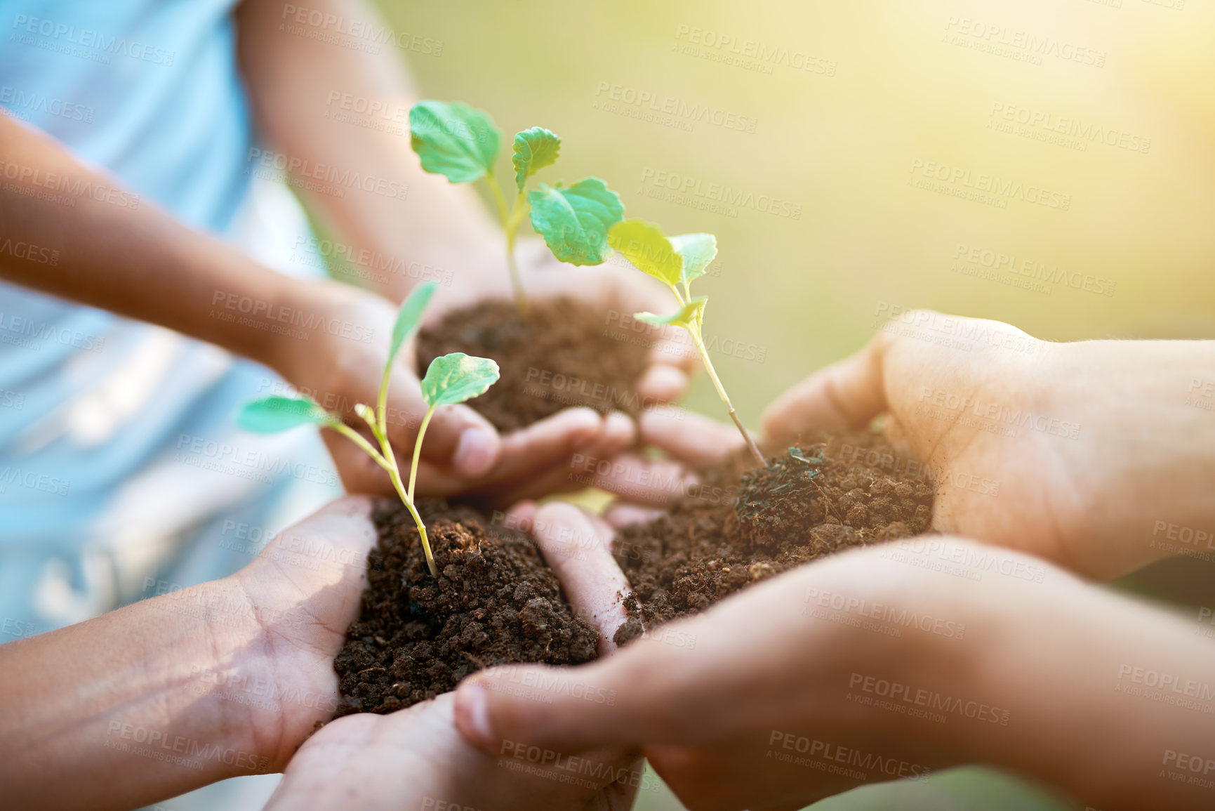 Buy stock photo Closeup shot of unrecognizable kids holding budding plants