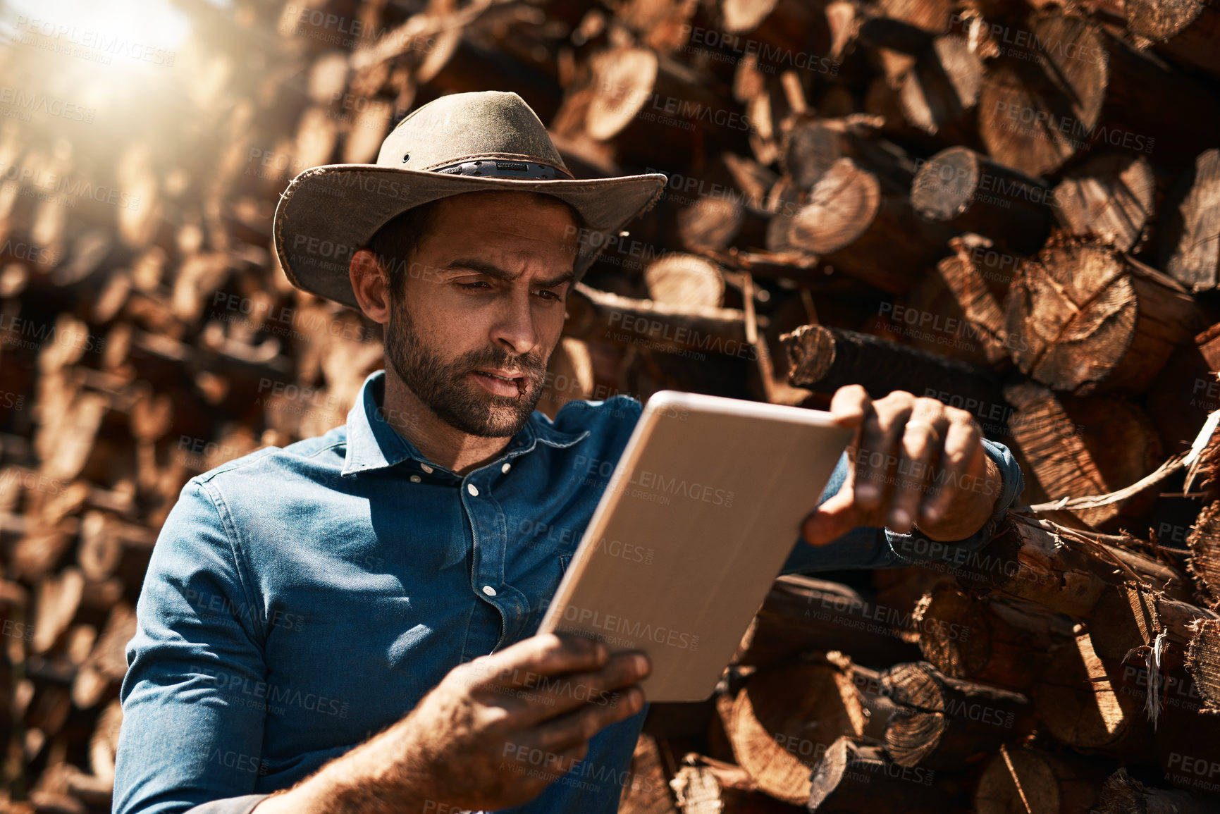 Buy stock photo Cropped shot of a lumberjack using his tablet while standing in front of a pile of wood