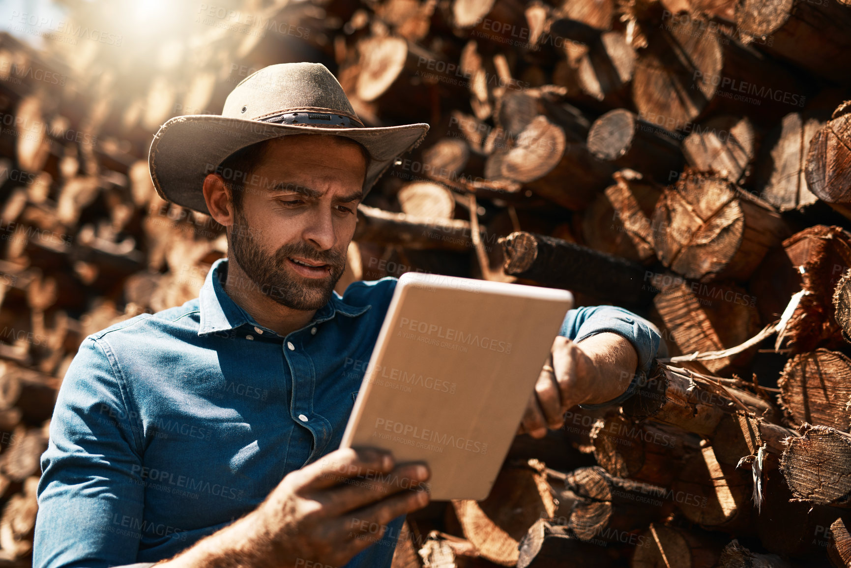 Buy stock photo Cropped shot of a lumberjack using his tablet while standing in front of a pile of wood