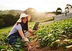 Keeping track of growth with the help of her tablet