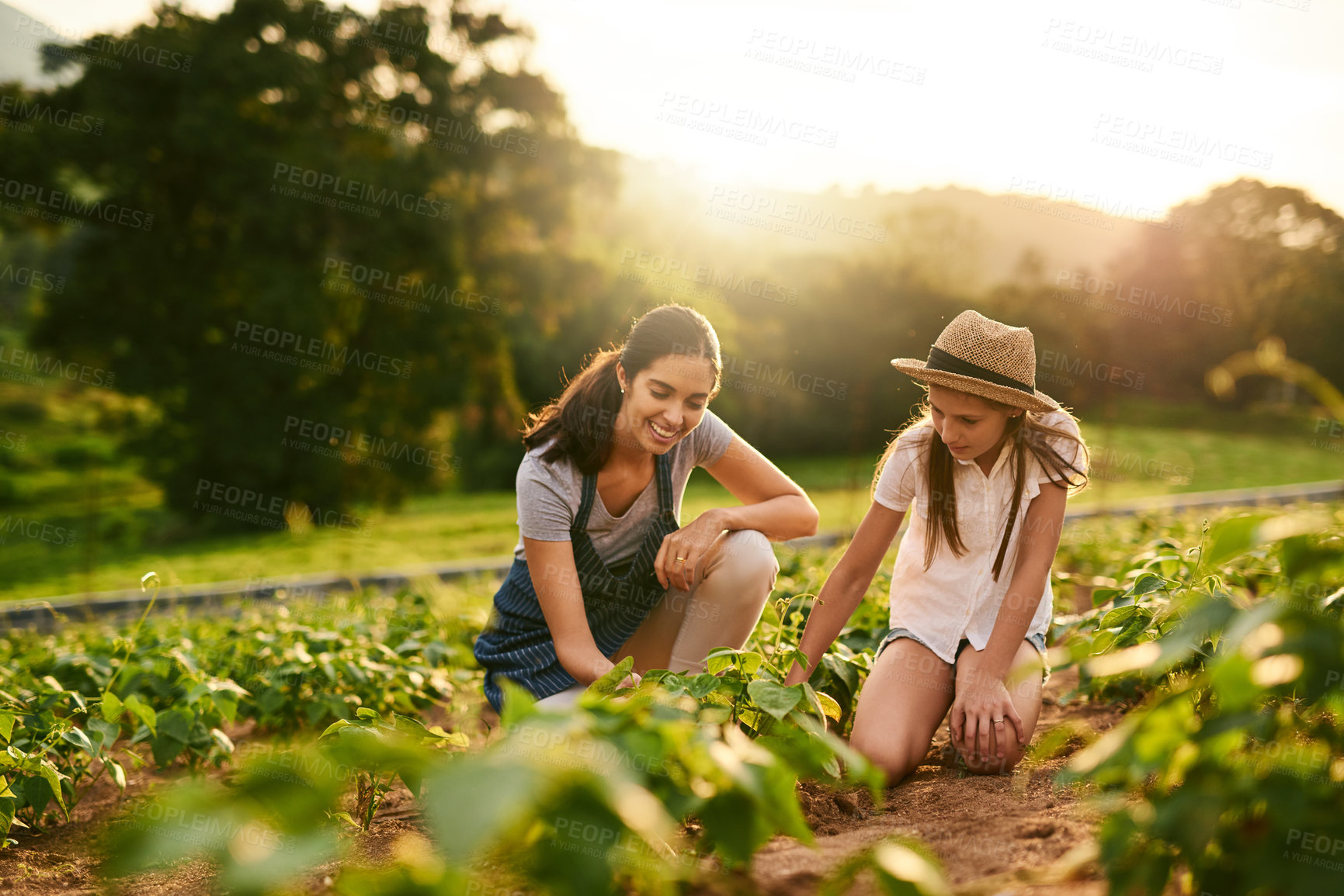 Buy stock photo Shot of an attractive young woman and her daughter working the fields on their family farm