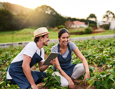 Buy stock photo Happy, couple and farming outdoor, tablet and love for sustainability, woman and laughing with man. Working, crops and growth of vegetable for harvest, teamwork and farmer for agriculture in USA