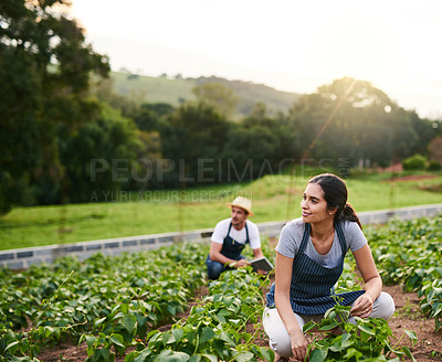 Buy stock photo Shot of an attractive young woman working on the family farm with her husband in the background