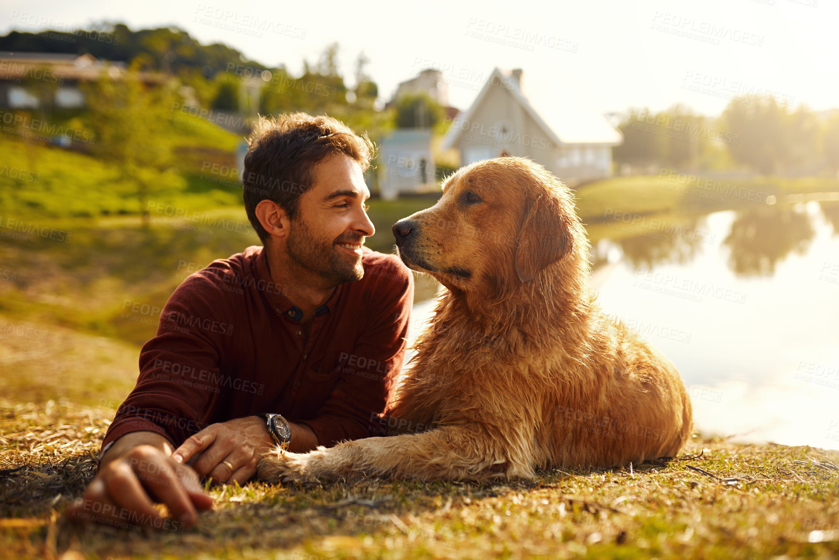 Buy stock photo Lake, dog and man in park, relax and bonding in nature with love, golden retriever and woods. Outdoor, pet and person with smile for trip, travel and vacation with animal, water or together in forest