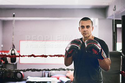 Buy stock photo Portrait of a confident young male boxer standing in a ring while wearing gloves and holding his hands up inside a gym during the day