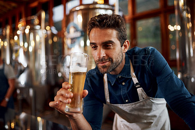 Buy stock photo Industry, beer and man brewer in distillery for taste of alcohol for quality control production. Happy, career and business owner with drink for fermentation in factory for oktoberfest in Munich.