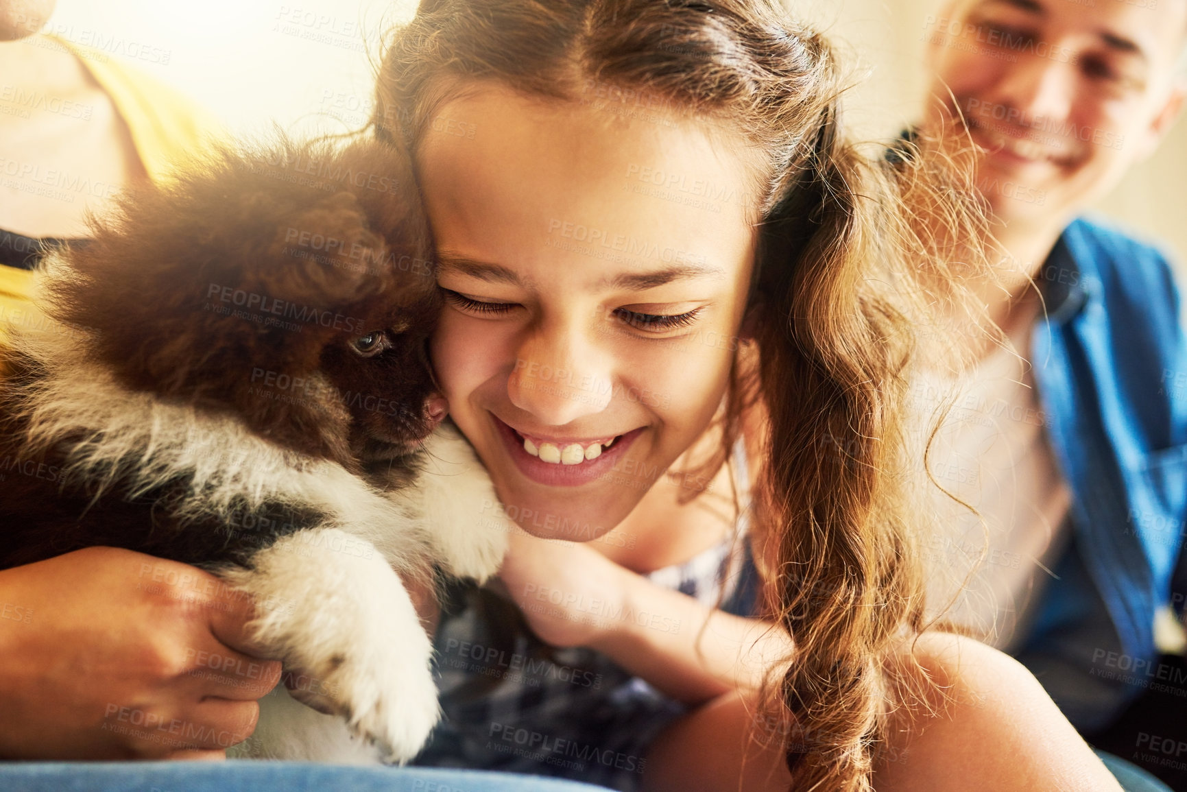 Buy stock photo Girl, child and puppy with hug on sofa with smile, father and excited for companion, care and love in family home. Kid, animal or pet dog with dad, embrace and bonding with connection in living room