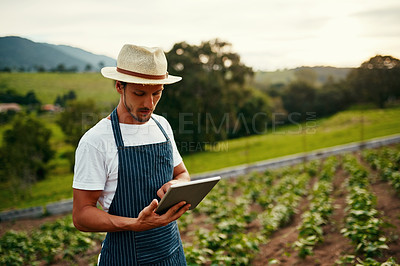 Buy stock photo Cropped shot of a handsome young man using a tablet while working on his farm