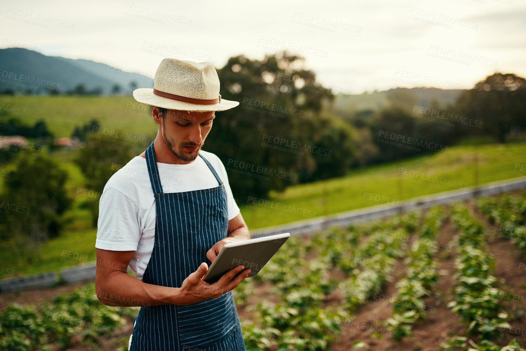 Buy stock photo Cropped shot of a handsome young man using a tablet while working on his farm