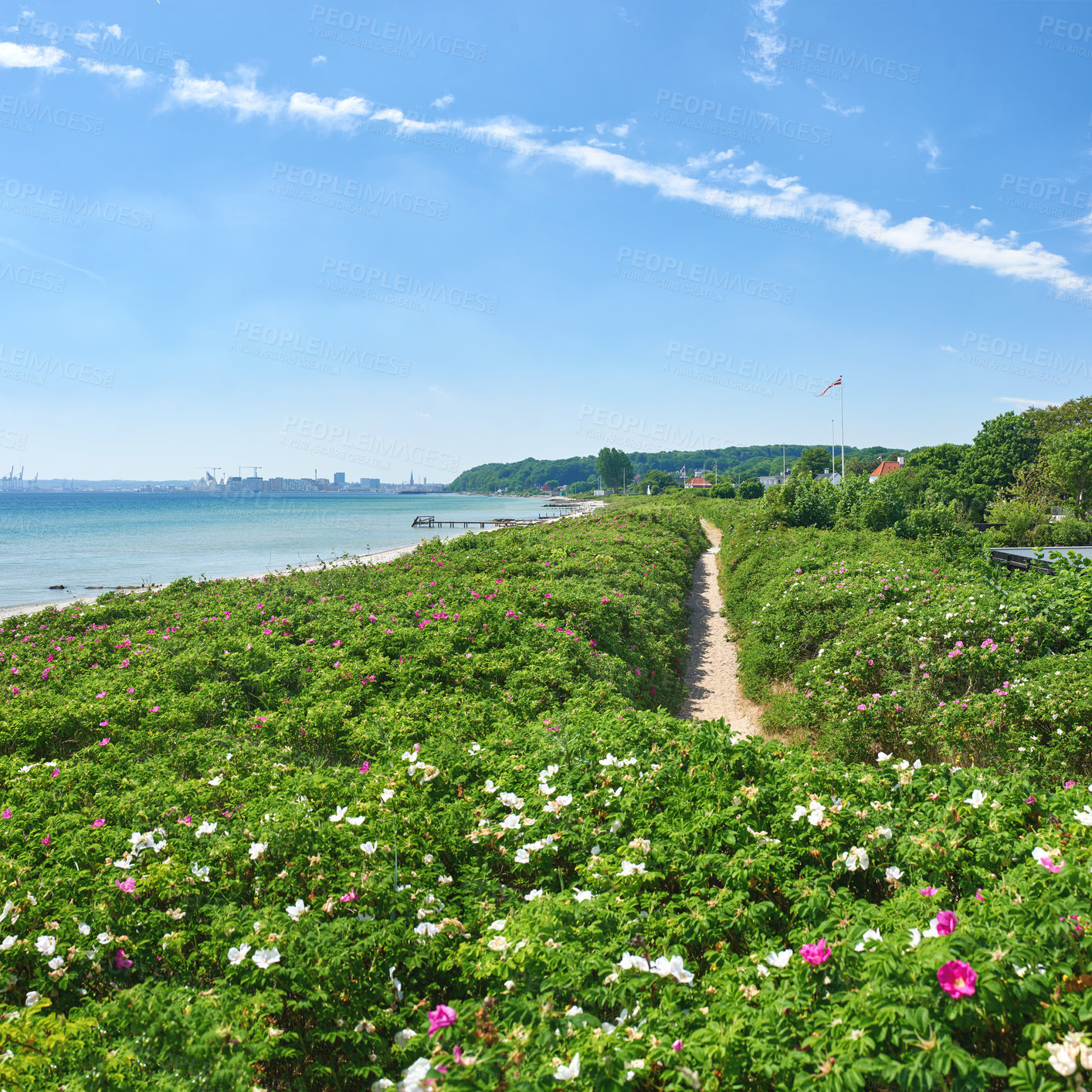 Buy stock photo A calm summer day at the beach and shore. Beautiful garden with flowers and a path to walk next to the seashore. A pleasant view of a beach with a garden under the bright blue sky. 