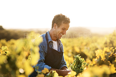 Buy stock photo Cropped shot of a young man working on a farm
