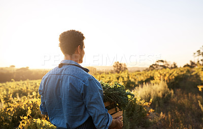 Buy stock photo Cropped shot of a young man working on a farm