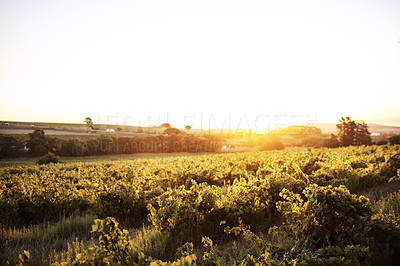 Buy stock photo Shot of a beautiful farm at sunset