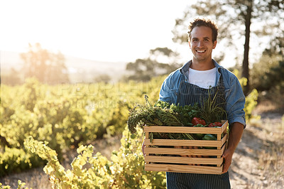 Buy stock photo Shot of a young man holding a crate full of freshly picked produce on a farm