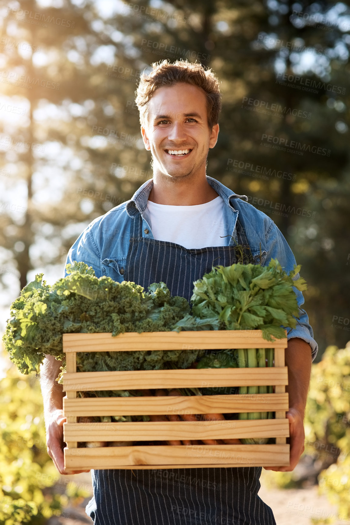Buy stock photo Shot of a young man holding a crate full of freshly picked produce on a farm
