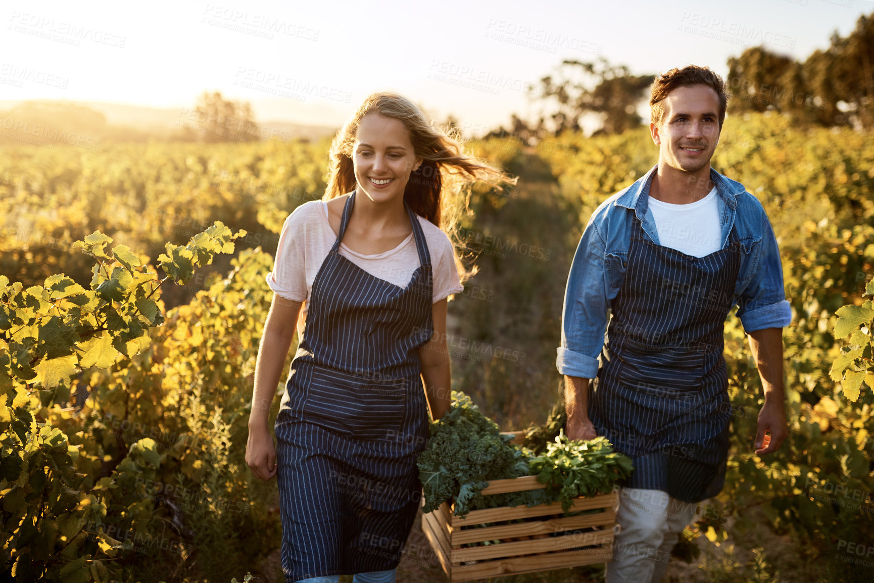 Buy stock photo Shot of a young man and woman working on a farm