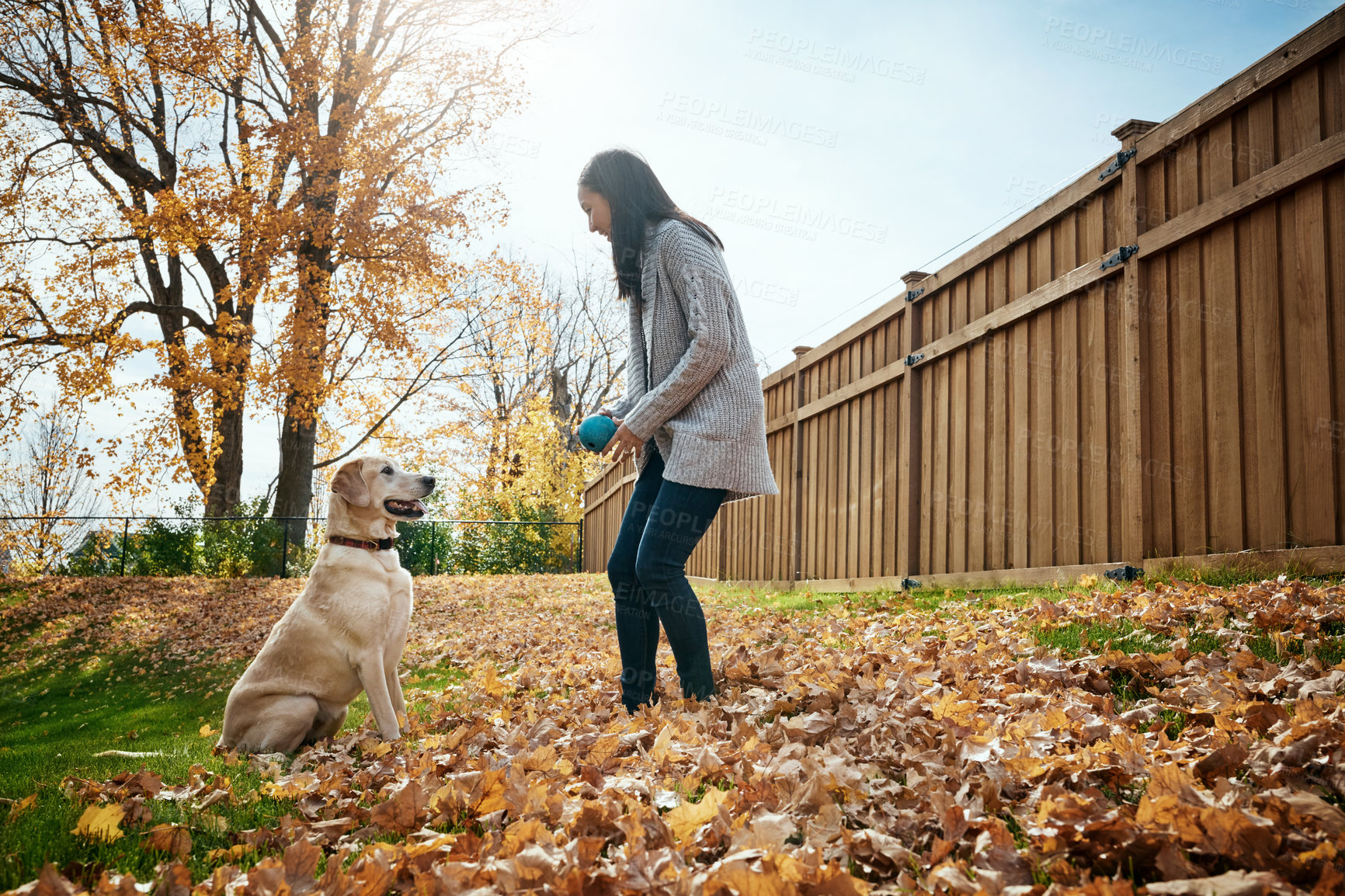 Buy stock photo Shot of an attractive young woman playing fetch with her dog on an autumn day in a garden