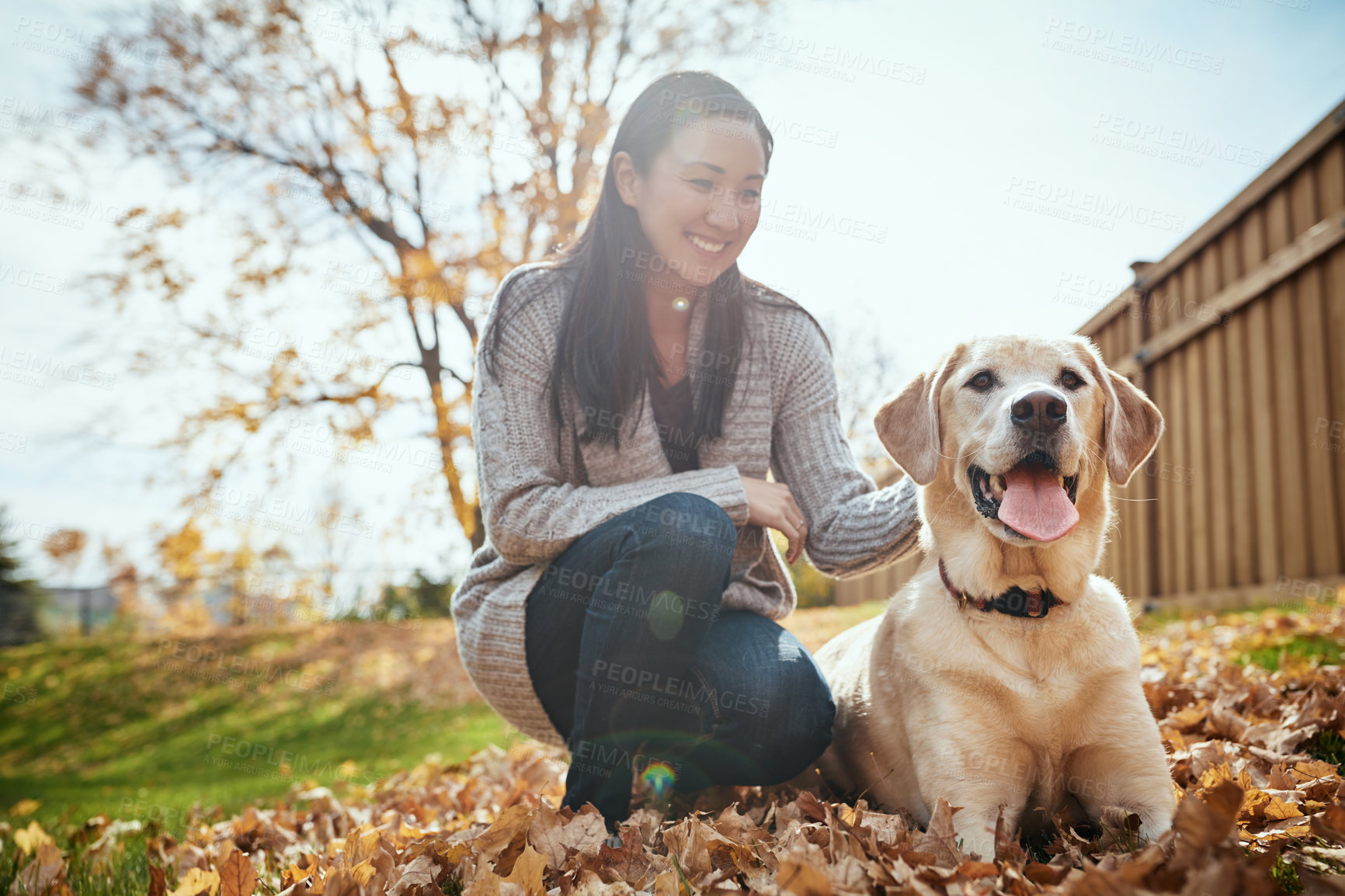 Buy stock photo Woman, dog and happy outdoor in autumn season for wellness, love and walking pet with happiness. Female person, labrador and smile on garden lawn for animal welfare, bonding and puppy training