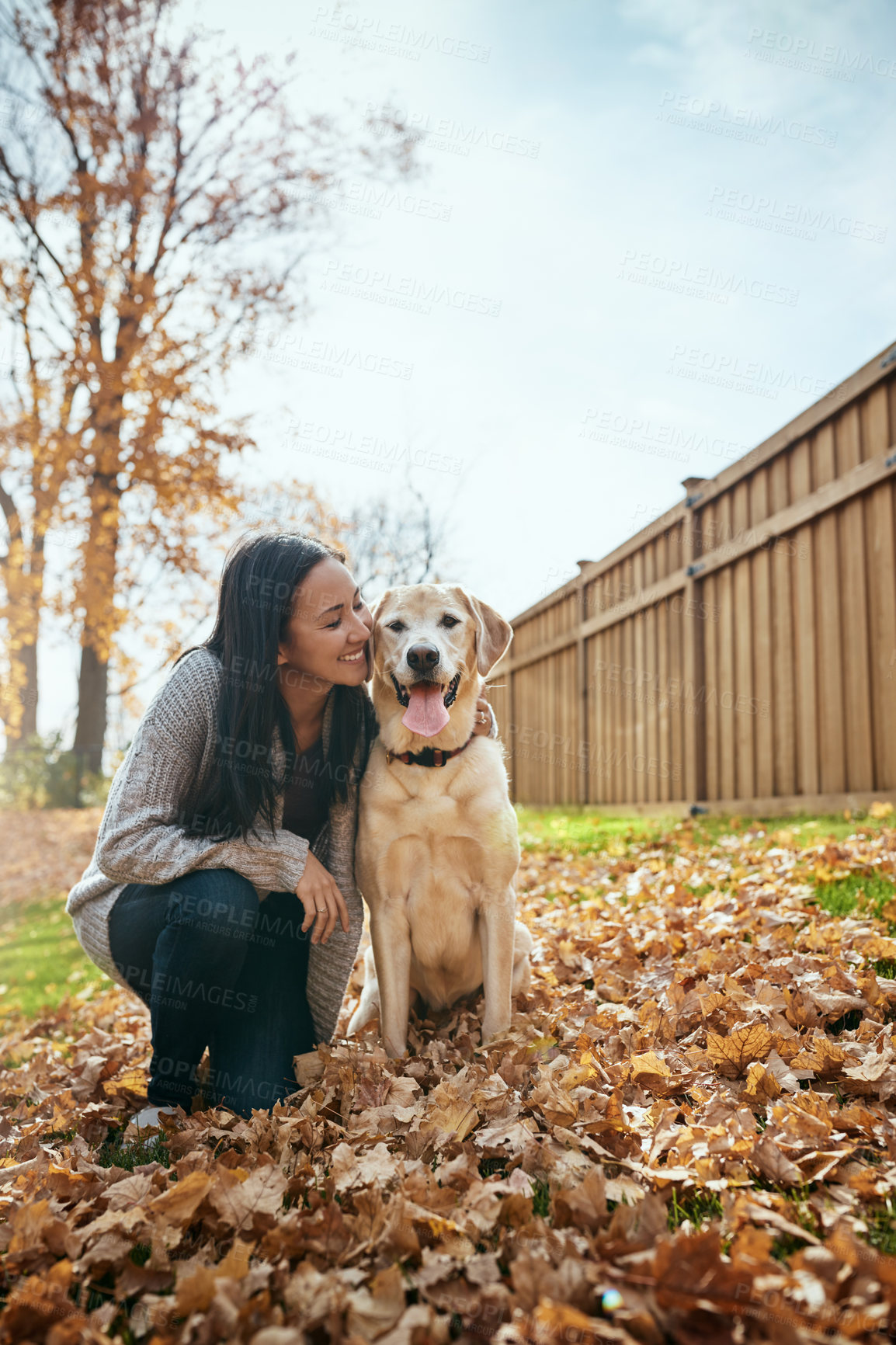 Buy stock photo Female person, dog and portrait outdoor in autumn season for wellness, love and pet health with happy. Asian woman, labrador and smile on garden lawn for animal welfare, bonding and puppy training