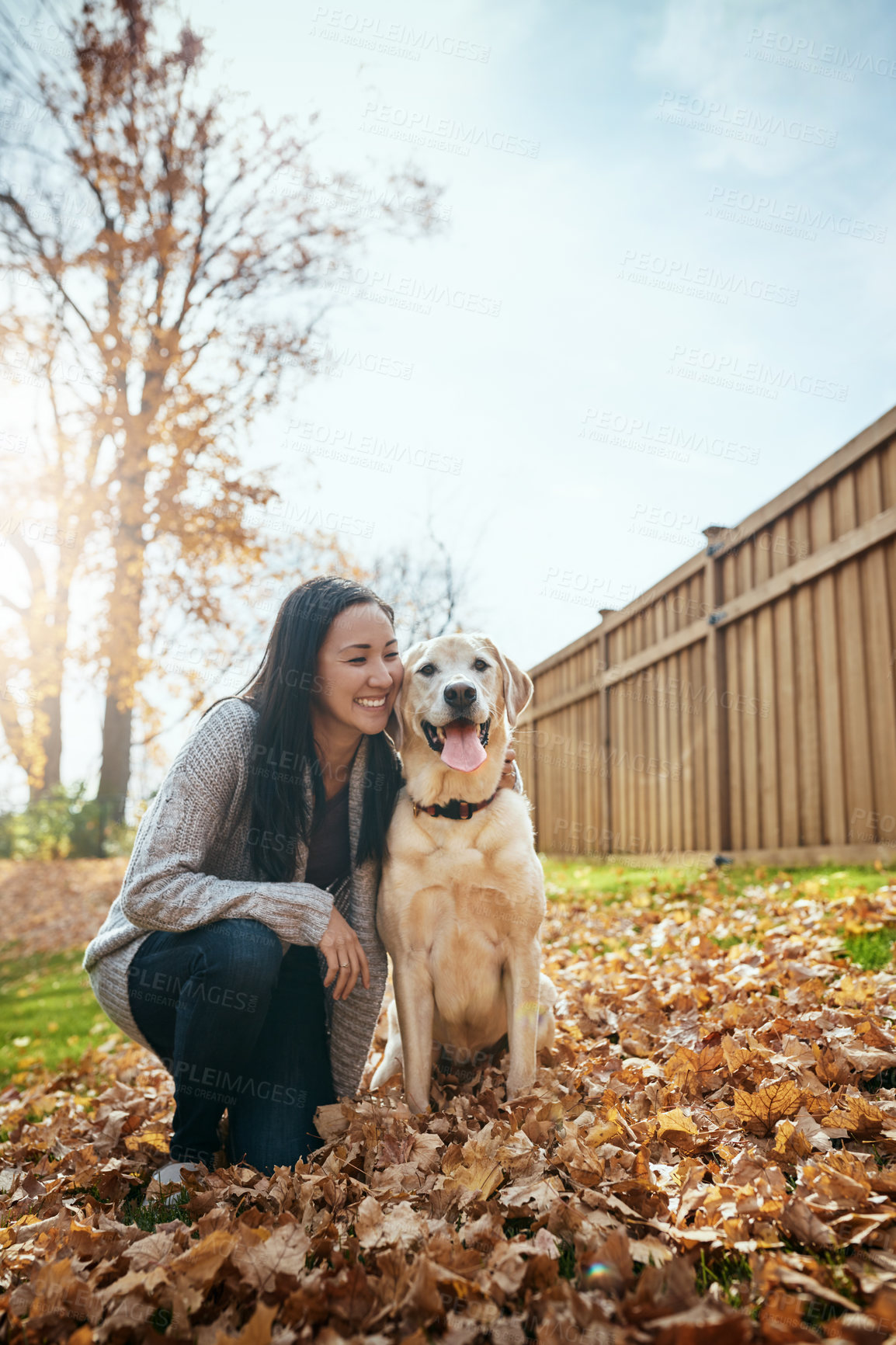 Buy stock photo Woman, dog and portrait at park in autumn season for wellness, love and pet loyalty with happiness. Female person, labrador and smile in garden for animal care, bonding and puppy training with stroke