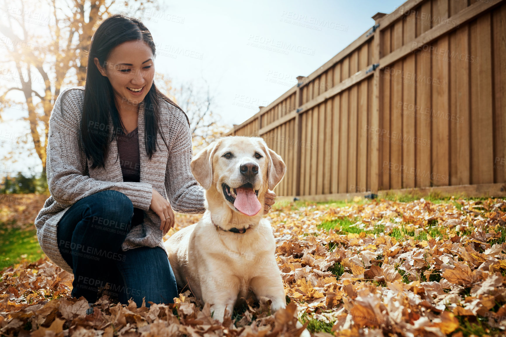 Buy stock photo Woman, dog and stroke outdoor in autumn season for wellness, love and walking pet with happiness. Female person, labrador and smile on garden lawn for animal welfare, bonding and puppy training