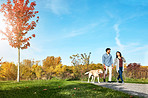 Walking your dog helps you stay more active