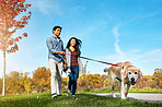 The journey is sweeter when traveled with a dog