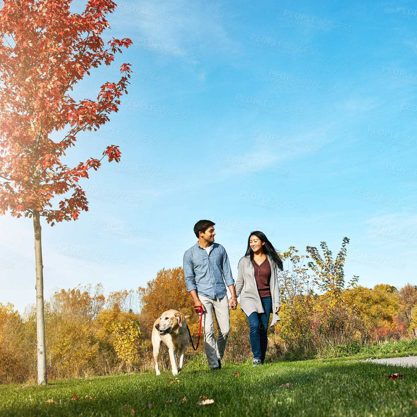 Buy stock photo Shot of a loving young couple taking their dog for a walk through the park