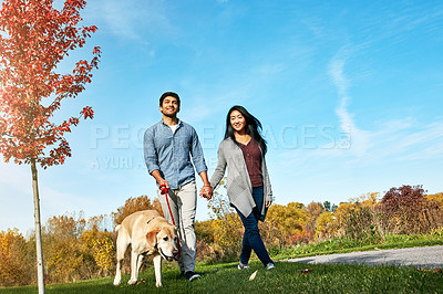 Buy stock photo Shot of a loving young couple taking their dog for a walk through the park