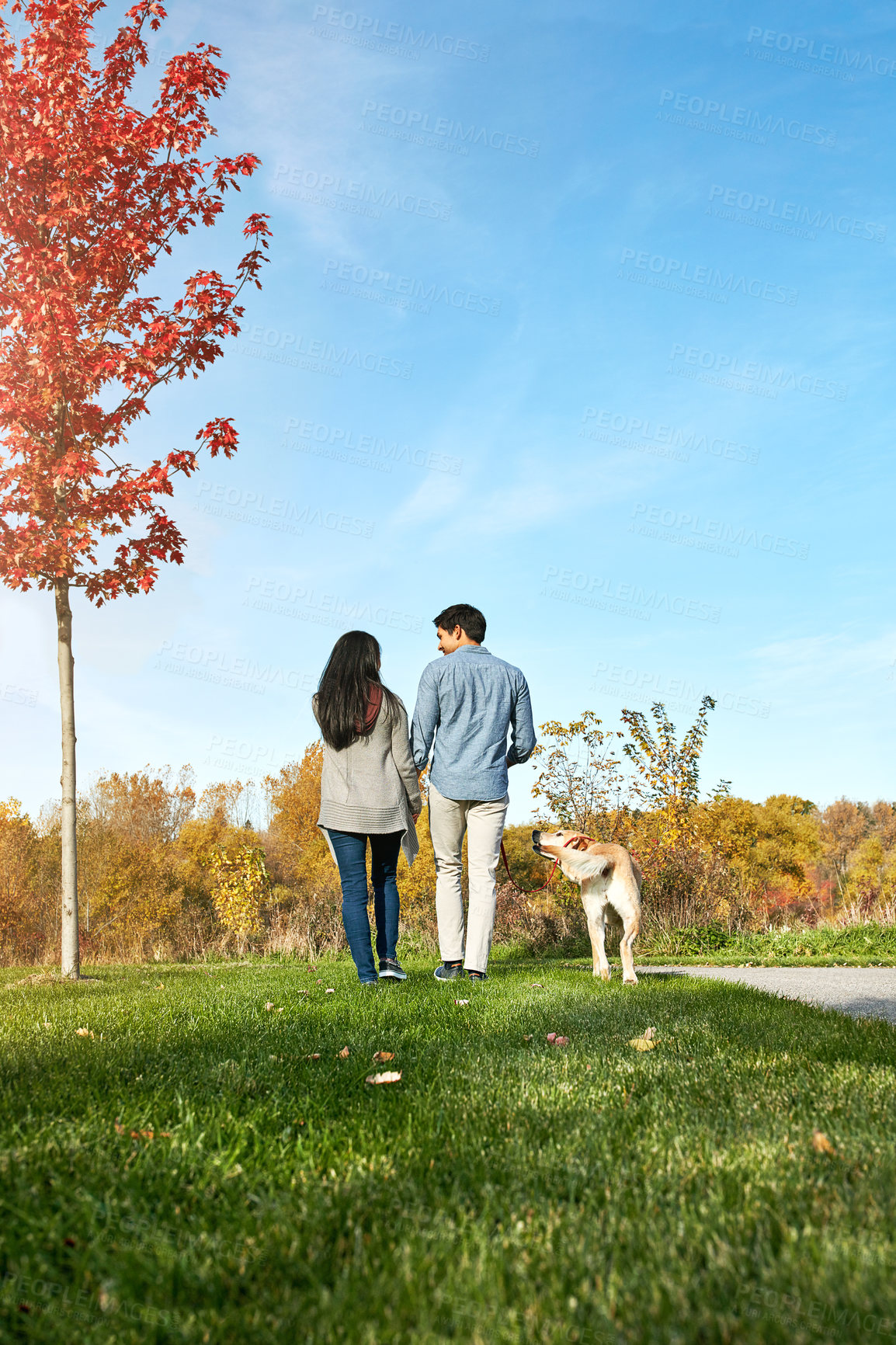 Buy stock photo Shot of a loving young couple taking their dog for a walk through the park