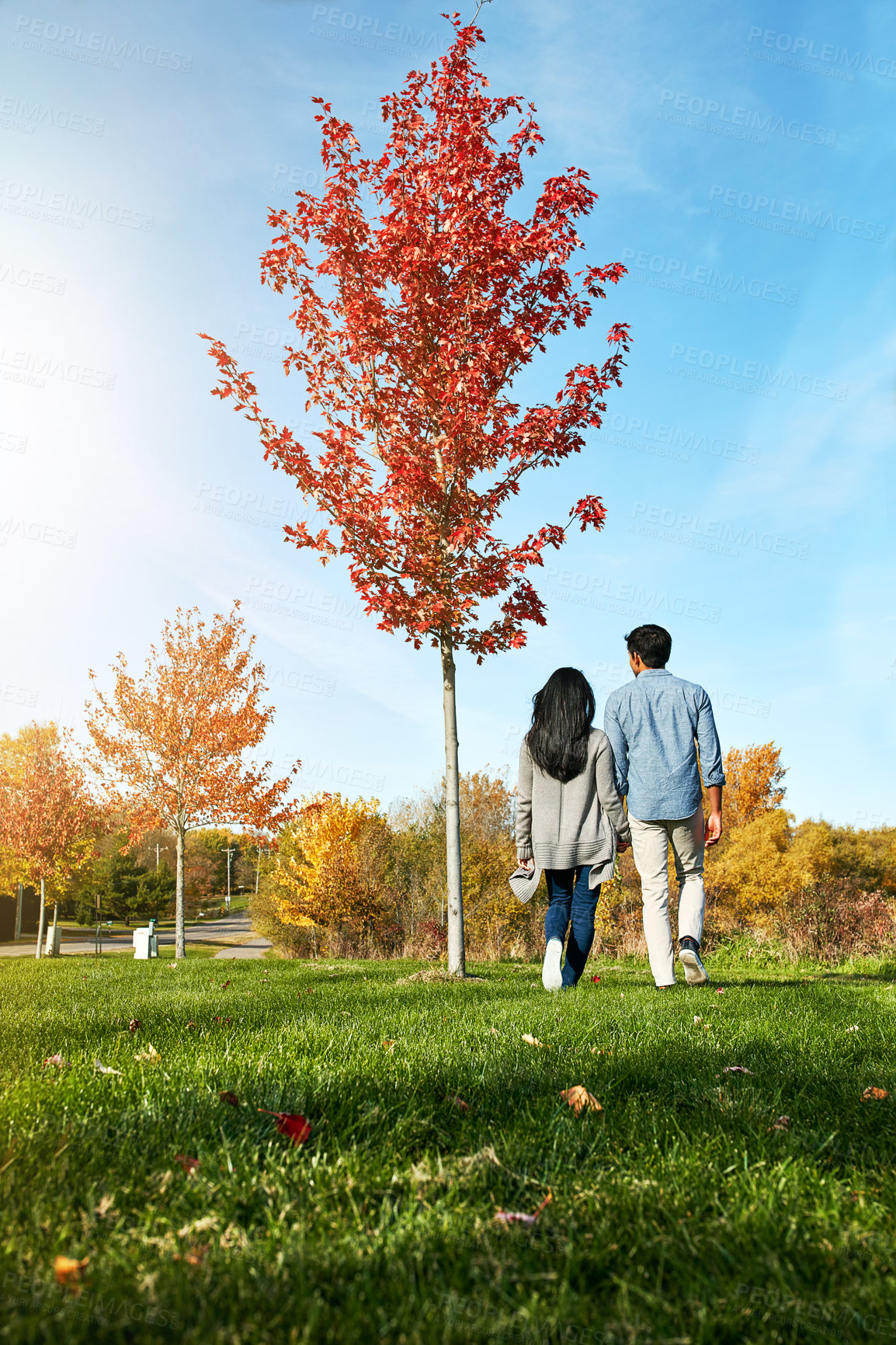 Buy stock photo Shot of a loving young couple out for a walk in the park