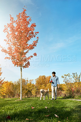 Buy stock photo Shot of a young man taking his dog for a walk through the park